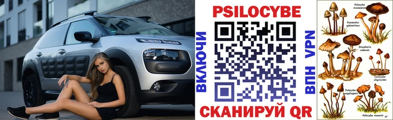 Псилоцибиновые грибы Cubensis Саров
