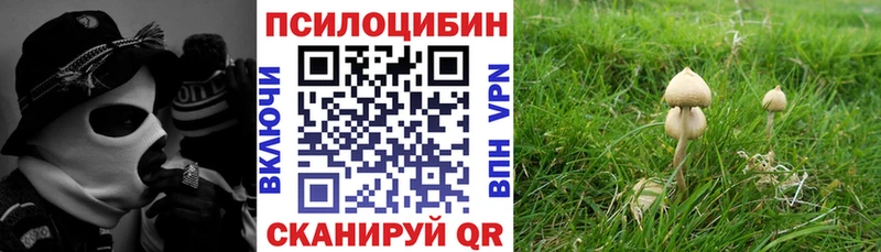 где можно купить наркотик  Саров  MEGA tor  Псилоцибиновые грибы Cubensis 