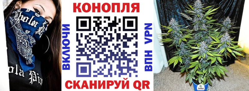 Конопля Bruce Banner  Саров 